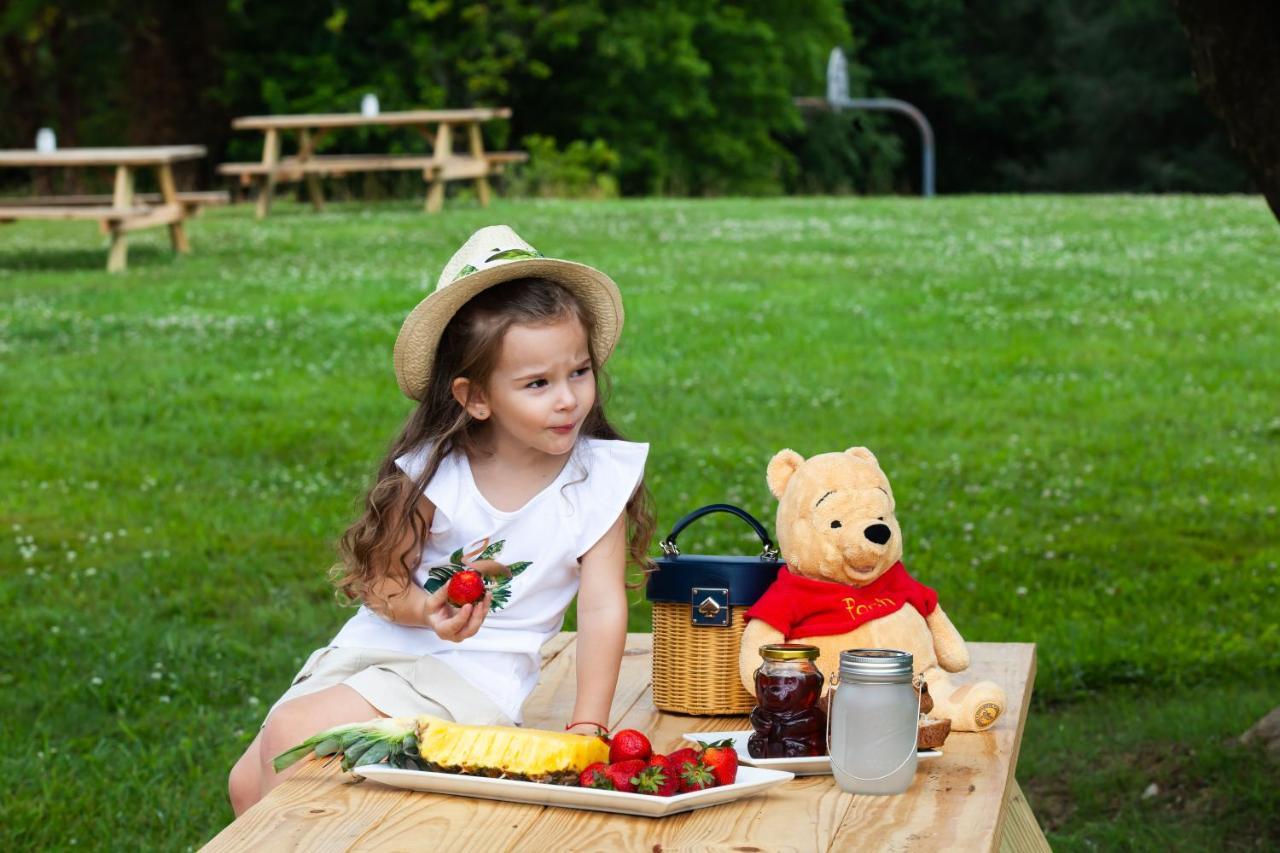 Skylaranna Resort & Spa Hendersonville Buitenkant foto